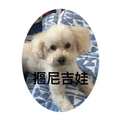 少年Q的笑連日常