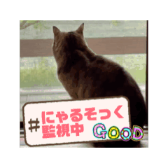 m_20250507200743