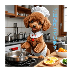 shin_20250506231822
