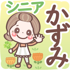 Pretty senior stickers Ver.6-1 Kazumi