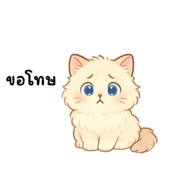 Cutie cat stickers456