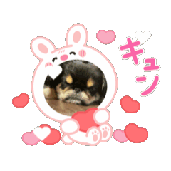 Korewakawaiithathadesu
