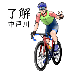 Nakatogawa's realistic bicycle