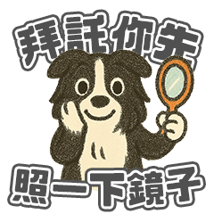 So-ra-diculous! Bordercollie SoSo