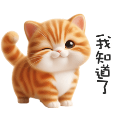ヾ(*ΦωΦ)ツ小貓貓我知道了