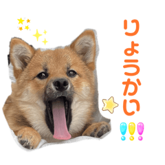 このはまる！！ - LINE スタンプ | LINE STORE