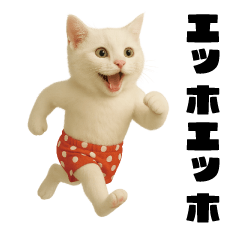 Cat's 'eh-eh-eh'