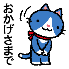 Blue Cat is an adult.(polite language)