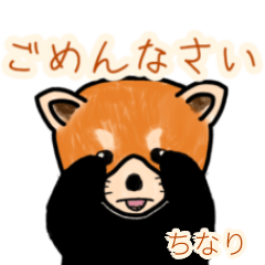 Chinari's lesser panda