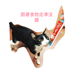 妙喵廟苗描瞄