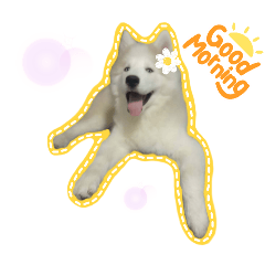 NamAob_20250508061946