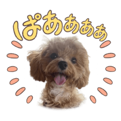 yurina_20250507165533