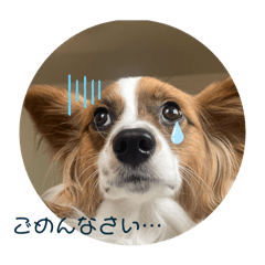 haru_20250507213024