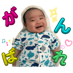 michan_0733.