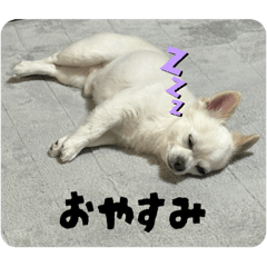 Oh_20250508012115