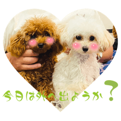 AKINA_20250508012107