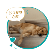 Moe_20250508092826