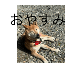 sy_20250507204550