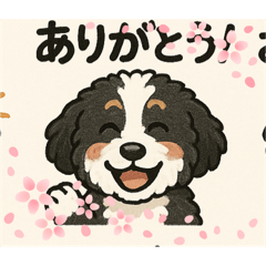 Banirin banijp