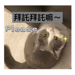 日常的毛噗噗