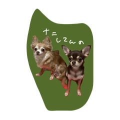 ran_20250507215419