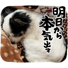 rina_20250507220244