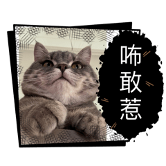 咘敢惹