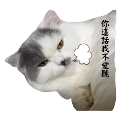 陳誰9個月大