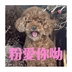 嗚咪碎碎念1.01