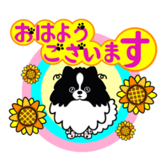 ポメパティぽぽてぃん