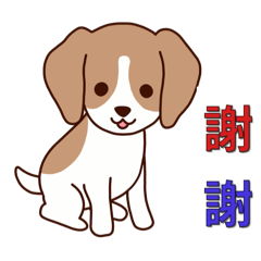 謝謝linty