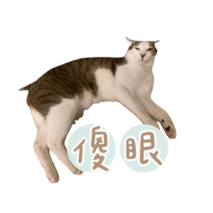 長林店梗圖
