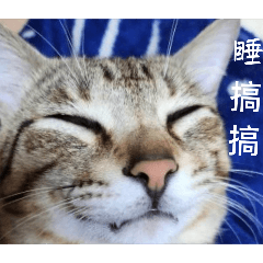 咪and斑