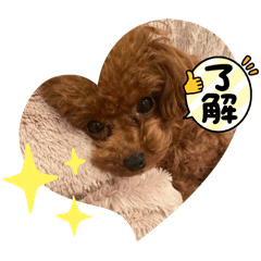momotanki