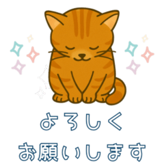 warm fuzzy cats ginger gray