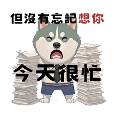 DoDodog_20250507153317