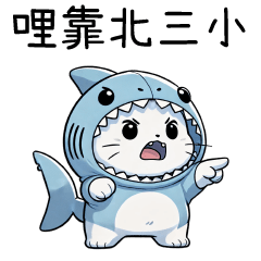 Angry Shark Cat!