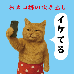 Cat speech bubble sticker.
