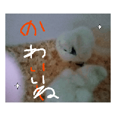 ran_20250508071802
