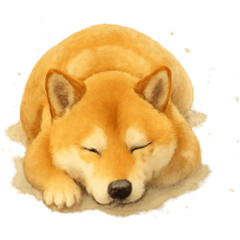 Shiba Inu's daily life, come and feel.