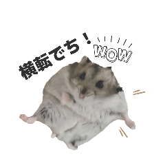 mm_20250508093739