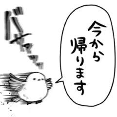 音速のシマエナガ