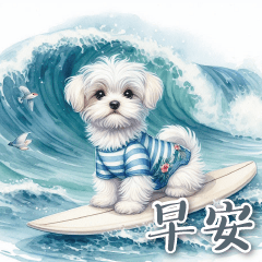 瑪爾濟斯小比熊托比在夏日-早安大貼圖40張1