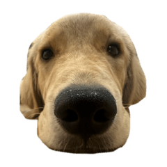 にこの使えるスタンプ