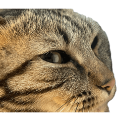 Www123456