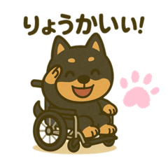 Yama_20250507215441