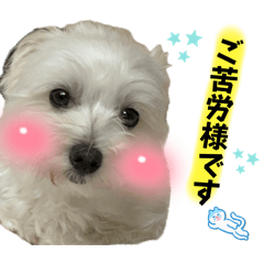 ryo_20250507233430