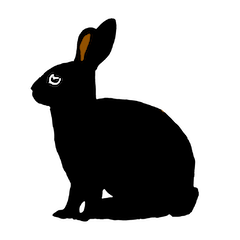 Polite black rabbits