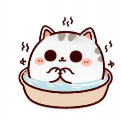 Bath Cat I Don't Know What to Do,