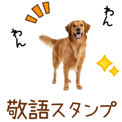 敬語のゴールデンレトリバースタンプ